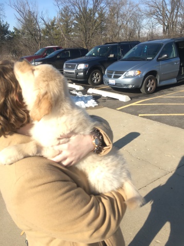 Cary Meeting Anna FIrst Time outside Vet 11-24-2015 11-52-46 AM